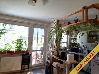 Eladó 74 m²-estársasházi lakás IV. Kerület (Újpest) , Szigeti József utca: 75'900'000 Ft