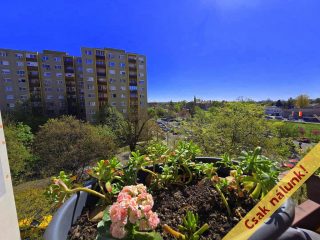 Eladó 54 m²-estársasházi lakás IV. Kerület (Újpest) , Szigeti József utca: 69'900'000 Ft