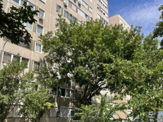 Eladó 46 m²-estársasházi lakás IV. Kerület (Újpest) , Újpest központ környékén azonnal költözhető !: 54'900'000 Ft