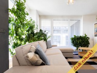 Eladó 86 m²-estársasházi lakás IV. Kerület (Újpest) , Wolfner utca: 159'800'000 Ft