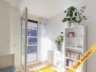 Eladó 86 m²-estársasházi lakás IV. Kerület (Újpest) , Wolfner utca: 159'800'000 Ft