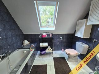 Eladó 259 m²-escsaládi ház IV. Kerület (Újpest-kertváros) , Blaha Lujza utca: 160'000'000 Ft