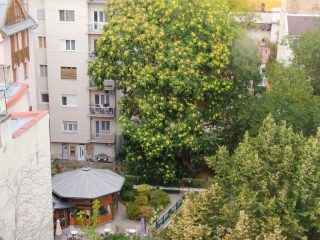 Eladó 25 m²-estársasházi lakás IX. Kerület (Belső Ferencváros) , Tompa utca: 54'990'000 Ft