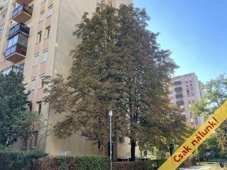 Eladó 58 m²-estársasházi lakás IX. Kerület (József Attila ltp.) , Csárdás köz: 69'800'000 Ft