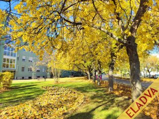 Eladó 52 m²-estársasházi lakás IX. Kerület (József Attila ltp.) , Dési Huber utca: 62'900'000 Ft