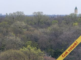 Eladó 63 m²-estársasházi lakás IX. Kerület (József Attila ltp.) , Dési Huber utca: 89'000'000 Ft