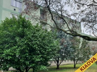 Kiadó 38 m²-estársasházi lakás IX. Kerület (József Attila ltp.) , EGYETÉRTÉS utca: 200'000 Ft