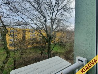 Kiadó 38 m²-estársasházi lakás IX. Kerület (József Attila ltp.) , EGYETÉRTÉS utca: 200'000 Ft