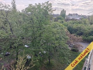 Eladó 26 m²-estársasházi lakás IX. Kerület (József Attila ltp.) , Epreserdő utca: 39'990'000 Ft