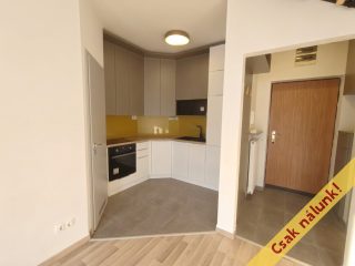 Eladó 70 m²-estársasházi lakás IX. Kerület (Középső Ferencváros (Rehabilitációs terület)) , Angyal utca: 110'000'000 Ft