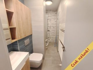 Eladó 70 m²-estársasházi lakás IX. Kerület (Középső Ferencváros (Rehabilitációs terület)) , Angyal utca: 110'000'000 Ft