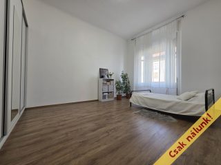 Eladó 65 m²-estársasházi lakás IX. Kerület (Középső Ferencváros (Rehabilitációs terület)) , Mester utca: 93'000'000 Ft