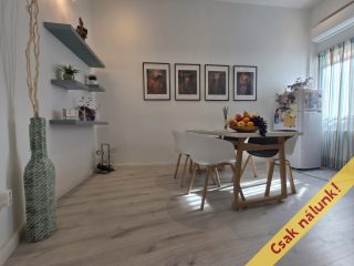 Eladó 65 m²-estársasházi lakás IX. Kerület (Középső Ferencváros (Rehabilitációs terület)) , Mester utca: 93'000'000 Ft
