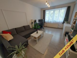 Eladó 59 m²-estársasházi lakás IX. Kerület (Középső Ferencváros (Rehabilitációs terület)) , Üllői út: 75'000'000 Ft