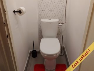 Eladó 59 m²-estársasházi lakás IX. Kerület (Középső Ferencváros (Rehabilitációs terület)) , Üllői út: 75'000'000 Ft