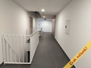 Eladó 38 m²-estársasházi lakás IX. Kerület (Középső Ferencváros (Rehabilitációs terület)) , Vágóhíd utca: 86'000'000 Ft