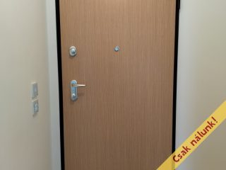 Eladó 38 m²-estársasházi lakás IX. Kerület (Középső Ferencváros (Rehabilitációs terület)) , Vágóhíd utca: 86'000'000 Ft