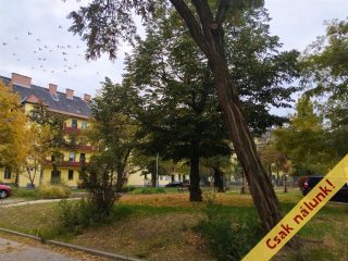 Eladó 34 m²-estársasházi lakás IX. Kerület (Külső Ferencváros) , Gyáli út: 40'500'000 Ft
