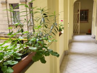 Eladó 48 m²-estársasházi lakás V. Kerület (Lipótváros) , Stollár Béla utca: 81'900'000 Ft