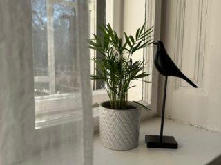 Eladó 79 m²-estársasházi lakás VI. Kerület (Diplomatanegyed) , Szondi utca: 136'000'000 Ft