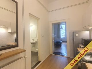 Eladó 37 m²-estársasházi lakás VII. Kerület (Belső-Erzsébetváros) , Nefelejcs utca: 52'900'000 Ft