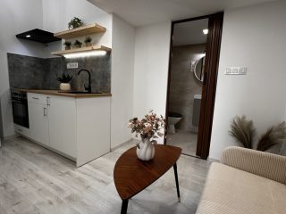 Eladó 31 m²-estársasházi lakás VII. Kerület (Középső-Erzsébetváros) , Nefelejcs utca környékén: 43'800'000 Ft