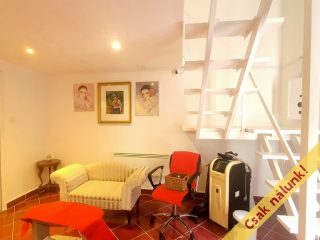 Eladó 21 m²-esüzlethelyiség utcai bejárattal VII. Kerület (Ligetváros) , BERENDEZETT FOGORVOSI RÖNTGENLABOR BP.VII.: 53'000'000 Ft