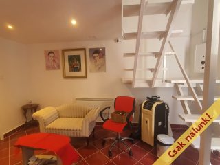 Eladó 21 m²-esüzlethelyiség utcai bejárattal VII. Kerület (Ligetváros) , BERENDEZETT FOGORVOSI RÖNTGENLABOR BP.VII.: 53'000'000 Ft