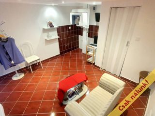 Eladó 21 m²-esüzlethelyiség utcai bejárattal VII. Kerület (Ligetváros) , BERENDEZETT FOGORVOSI RÖNTGENLABOR BP.VII.: 53'000'000 Ft