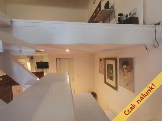 Eladó 21 m²-esüzlethelyiség utcai bejárattal VII. Kerület (Ligetváros) , BERENDEZETT FOGORVOSI RÖNTGENLABOR BP.VII.: 53'000'000 Ft