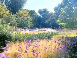 Eladó 82 m²-estársasházi lakás VII. Kerület (Ligetváros) , Kertre néző, Városligetnél Dembinszky utca: 113'900'000 Ft