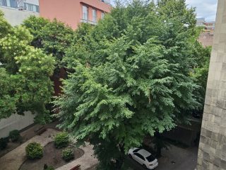 Eladó 65 m²-estársasházi lakás VIII. Kerület (Corvin negyed) , Corvin sétány: 84'900'000 Ft
