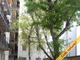 Eladó 29 m²-estársasházi lakás VIII. Kerület (Füvész kert) , Diószegi Sámuel utca utca: 31'800'000 Ft