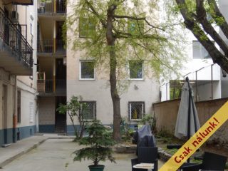 Eladó 29 m²-estársasházi lakás VIII. Kerület (Füvész kert) , Diószegi Sámuel utca utca: 31'800'000 Ft