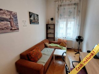 Eladó 123 m²-estársasházi lakás VIII. Kerület (II. János Pál pápa tér és környéke) , M4 közeli, Népszínház utca: 119'000'000 Ft