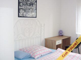 Eladó 123 m²-estársasházi lakás VIII. Kerület (II. János Pál pápa tér és környéke) , M4 közeli, Népszínház utca: 119'000'000 Ft