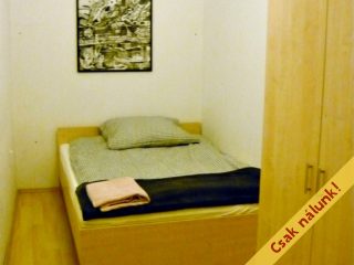 Eladó 123 m²-estársasházi lakás VIII. Kerület (II. János Pál pápa tér és környéke) , M4 közeli, Népszínház utca: 119'000'000 Ft