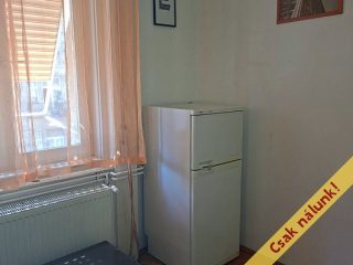 Eladó 123 m²-estársasházi lakás VIII. Kerület (II. János Pál pápa tér és környéke) , M4 közeli, Népszínház utca: 119'000'000 Ft