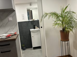 Eladó 27 m²-estársasházi lakás VIII. Kerület (Józsefváros) , Baross utca környékén: 37'500'000 Ft