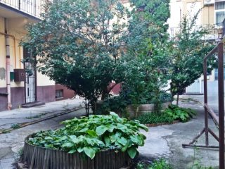 Eladó 35 m²-estársasházi lakás VIII. Kerület (Magdolna negyed) , Karácsony Sándor utca: 43'500'000 Ft
