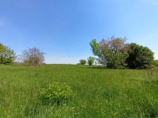 Eladó 3917 m²-estelek X. Kerület (Felsőrákos) , Pilisi utca: 59'900'000 Ft