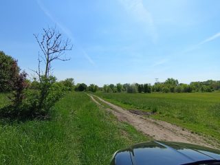 Eladó 3917 m²-estelek X. Kerület (Felsőrákos) , Pilisi utca: 59'900'000 Ft