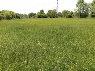 Eladó 3917 m²-estelek X. Kerület (Felsőrákos) , Pilisi utca: 59'900'000 Ft