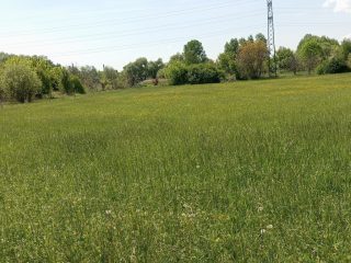 Eladó 3917 m²-estelek X. Kerület (Felsőrákos) , Pilisi utca: 59'900'000 Ft