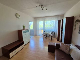 Kiadó 28 m²-estársasházi lakás X. Kerület (Gyakorló lakótelep) , Örs vezér tere, M2 közeli, Gyakorló utca: 170'000 Ft