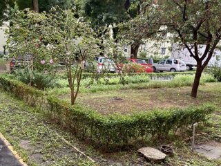 Kiadó 42 m²-estársasházi lakás X. Kerület (József A. ltp. közelében) , Zágrábi utca: 180'000 Ft