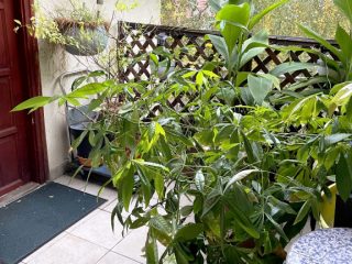 Eladó 114 m²-estársasházi lakás X. Kerület (Óhegy) , Óhegy: 209'900'000 Ft