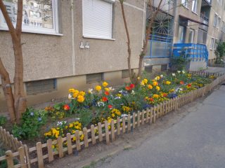 Eladó 49 m²-estársasházi lakás X. Kerület (Újhegyi ltp.) , Agyagfejtő utca: 53'000'000 Ft