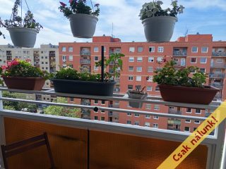 Eladó 68 m²-estársasházi lakás X. Kerület (Újhegyi ltp.) , Szövőszék utca: 75'900'000 Ft