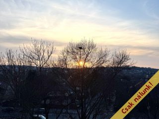 Eladó 53 m²-estársasházi lakás XI. Kerület (Albertfalva) , Sáfrány utca: 70'900'000 Ft